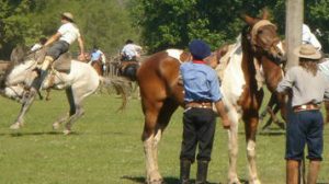 chevaux argentine