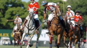 Match de Polo Argentine