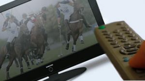 polo tv