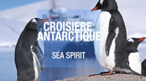 video croisière en Antarctique sur le Sea Spirit