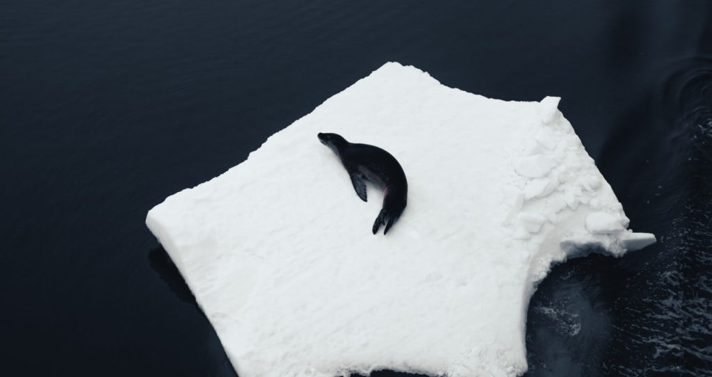 l'antarctique et le cap horn